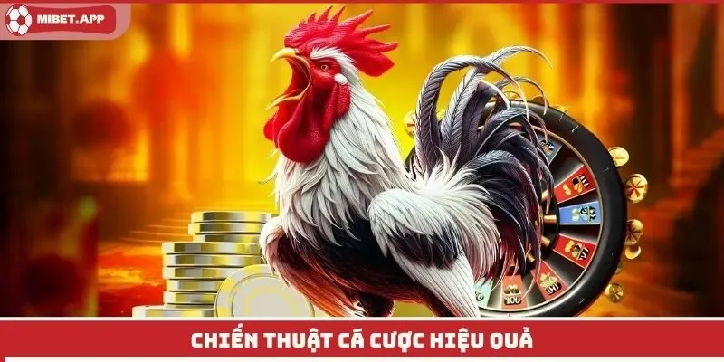 Chiến thuật cá cược hiệu quả
