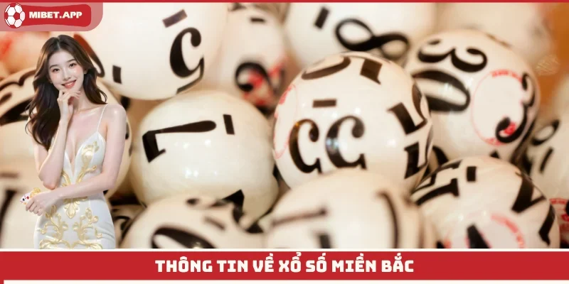 Xổ số miền Bắc đang là lựa chọn để cá cược mỗi ngày
